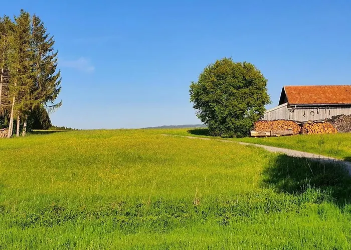 Am Hochbergle Haus 1 Dom wakacyjny *